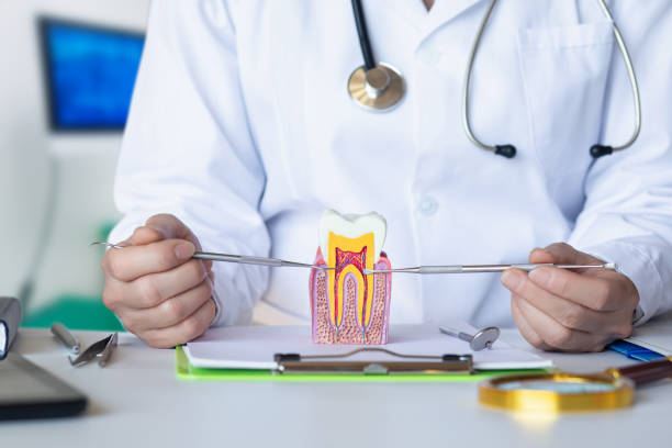 Best Broken or Cracked Tooth Emergency Dentist in Mount Pleasant, UT